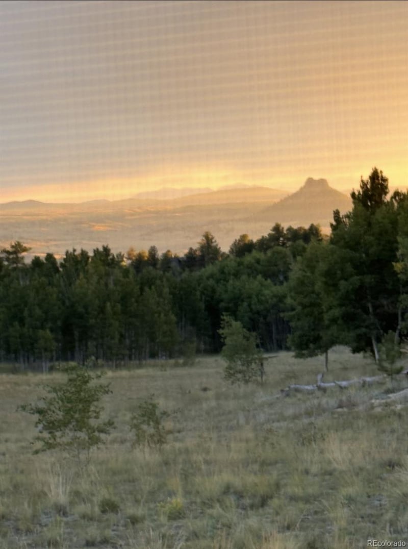 503 Sugar Loaf Ln, Jefferson, CO 80456