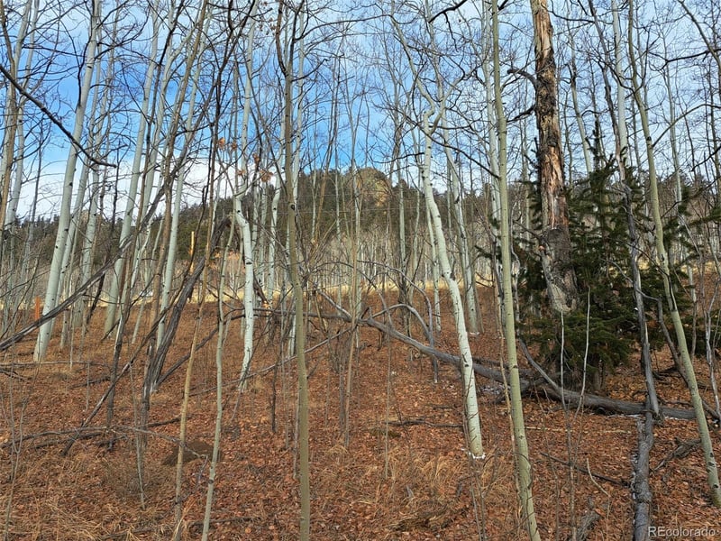 503 Sugar Loaf Ln, Jefferson, CO 80456