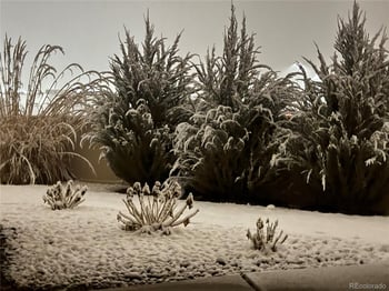 3407 Woodbridge Pl, Montrose, CO 81401