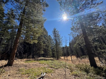 Lot 14X Wallace Ave, Conifer, CO 80433