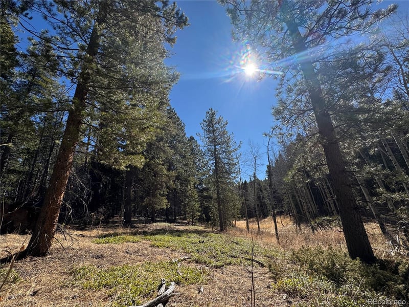 Lot 14X Wallace Ave, Conifer, CO 80433