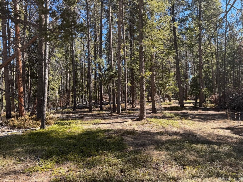 Lot 14X Wallace Ave, Conifer, CO 80433