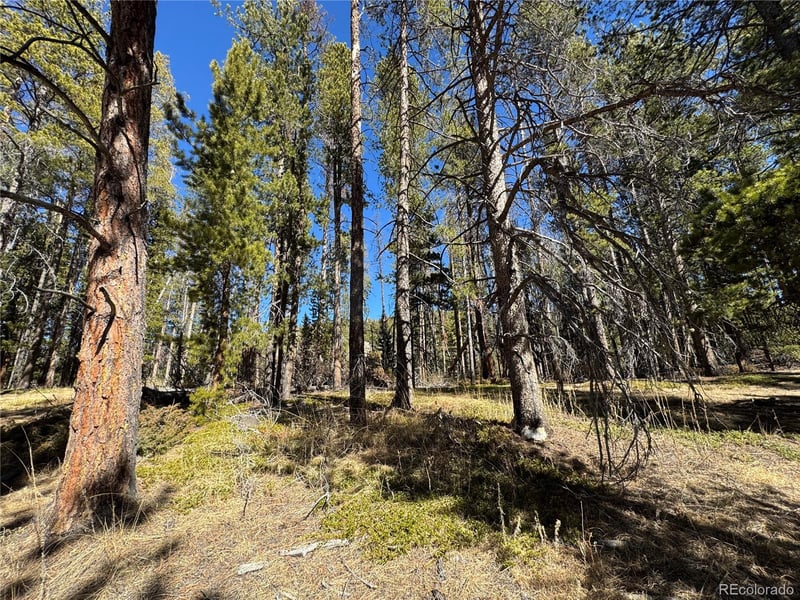 Lot 14X Wallace Ave, Conifer, CO 80433
