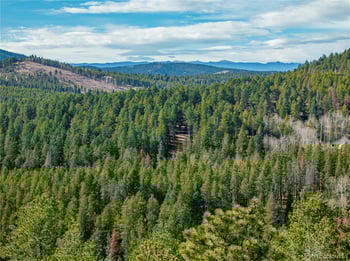 Lot 14X Wallace Ave, Conifer, CO 80433