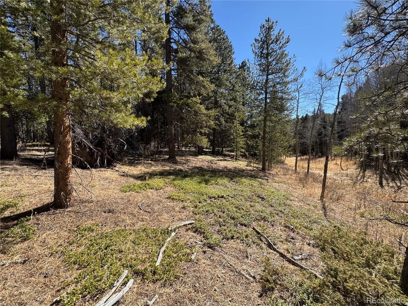 Lot 14X Wallace Ave, Conifer, CO 80433