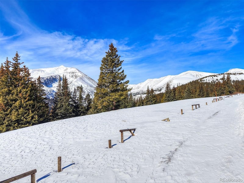 58969 Highway 9 , Alma, CO 80420