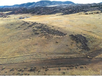 13939 Highway 287 , Livermore, CO 80536