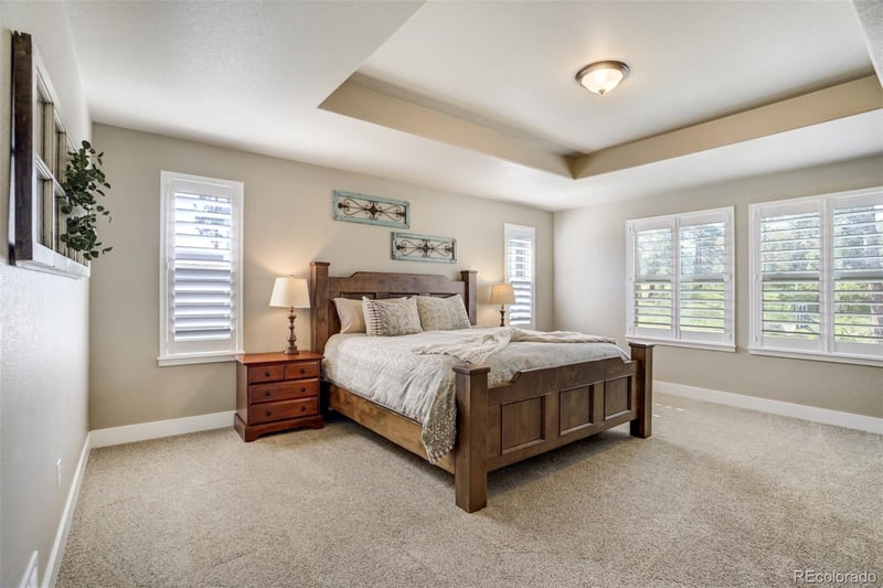 1716 Catnap Ln, Monument, CO 80132