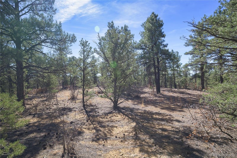Rancho La Garita Lot 1129, Weston, CO 81091