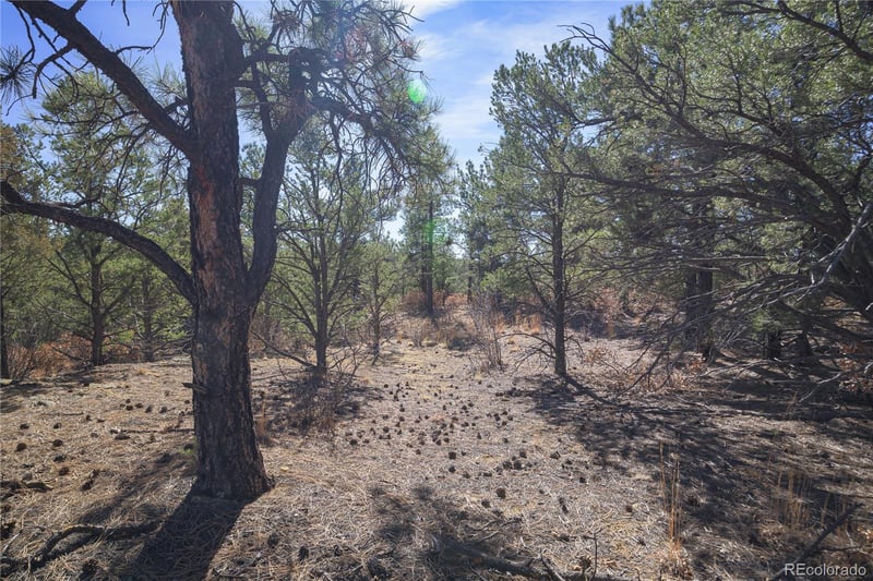 Rancho La Garita Lot 1129, Weston, CO 81091