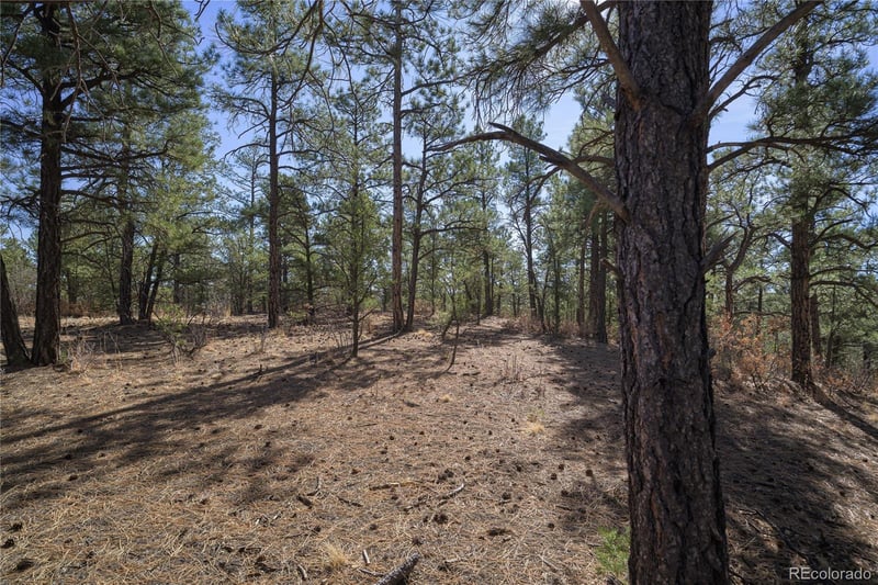 Rancho La Garita Lot 1129, Weston, CO 81091