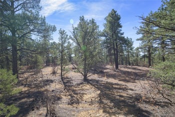 Rancho La Garita Lot 1129, Weston, CO 81091