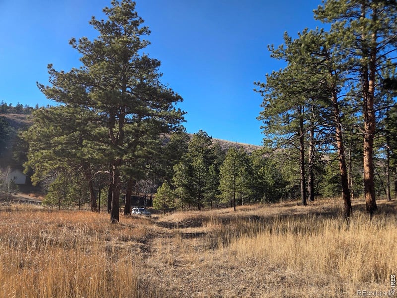 620 Davis Ranch Rd, Bellvue, CO 80512
