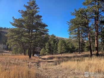 620 Davis Ranch Rd, Bellvue, CO 80512