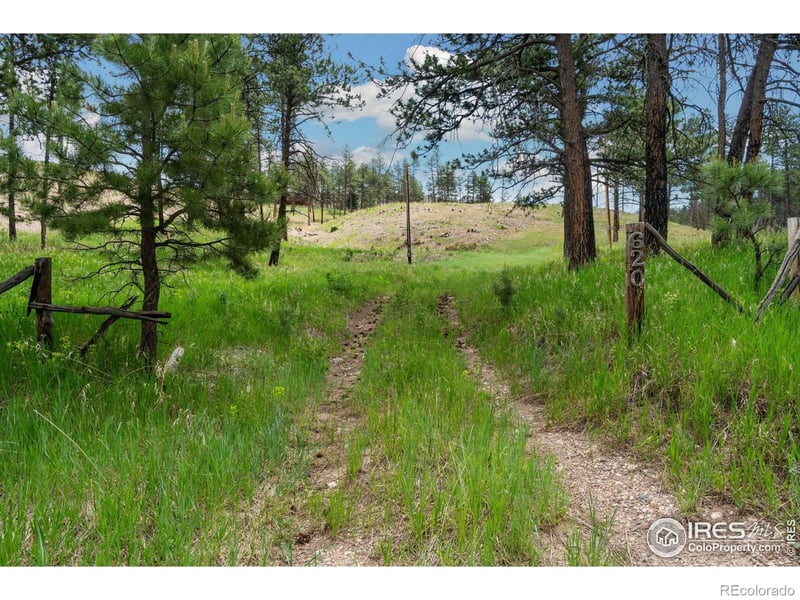 620 Davis Ranch Rd, Bellvue, CO 80512