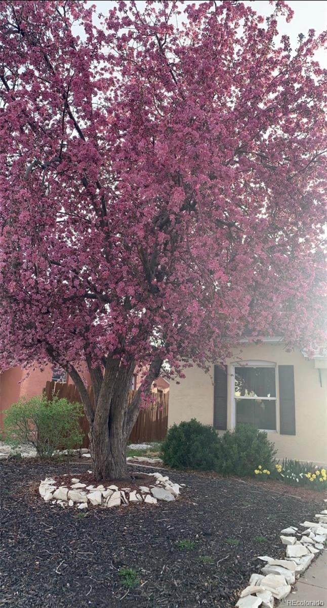 2223 Pine St, Pueblo, CO 81004