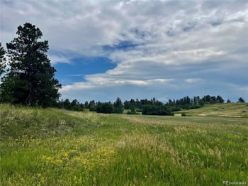 2379 Fox View Trl, Franktown, CO 80116