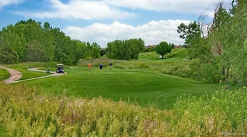 22386 Arbor Pl, Aurora, CO 80016