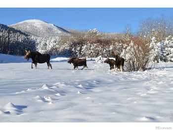 165 Valley Rd, Lyons, CO 80540