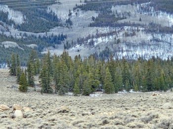 Parcel 11 Tract 11, Twin Lakes, CO 81251