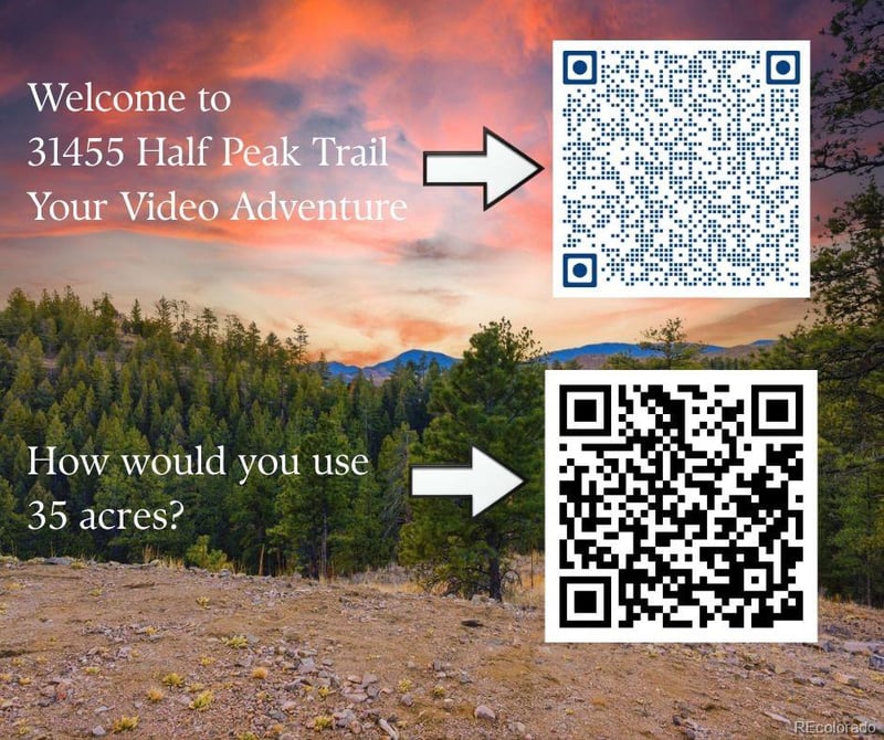 31455 Half Peak Trl, Pine, CO 80470