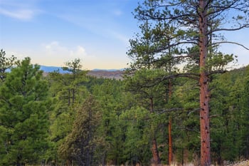 31455 Half Peak Trl, Pine, CO 80470
