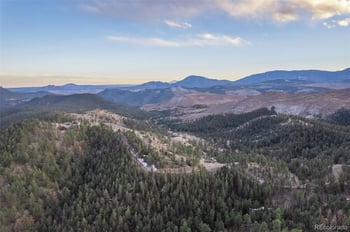 31455 Half Peak Trl, Pine, CO 80470