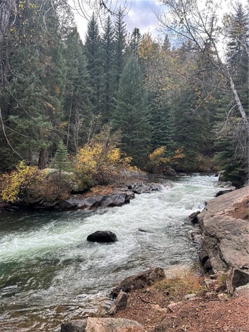 31455 Half Peak Trl, Pine, CO 80470