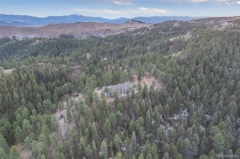 31455 Half Peak Trl, Pine, CO 80470