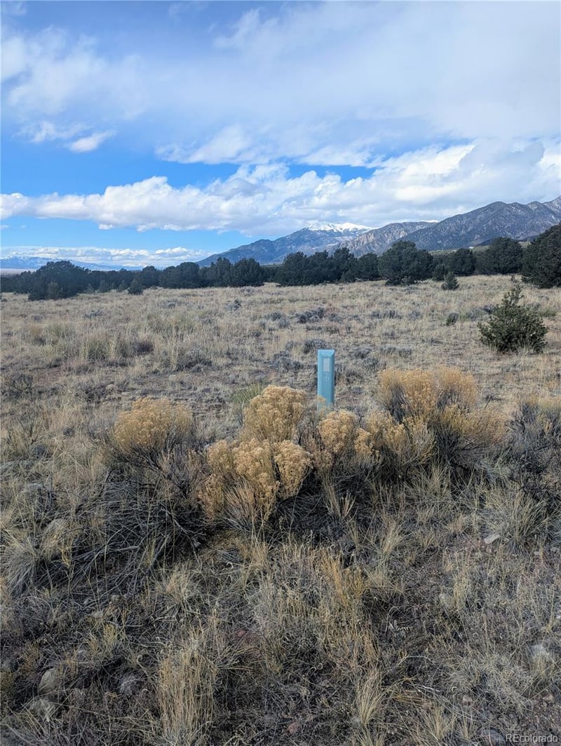 3288 Camino Del Rey, Crestone, CO 81131