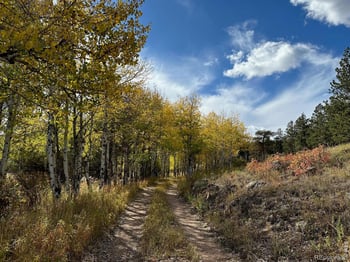 17667 Highway 7 , Lyons, CO 80540