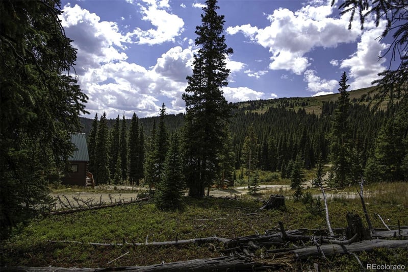 233 Camron Ln, Breckenridge, CO 80424