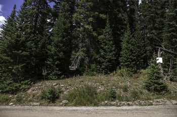 233 Camron Ln, Breckenridge, CO 80424