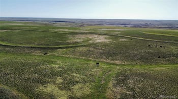 A County Rd 166, Deer Trail, CO 80105