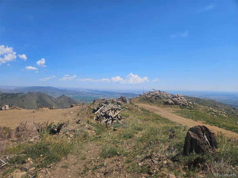 654 Hernia Hill Trl, Bellvue, CO 80512