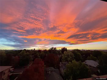 1313 Steele St #701, Denver, CO 80206