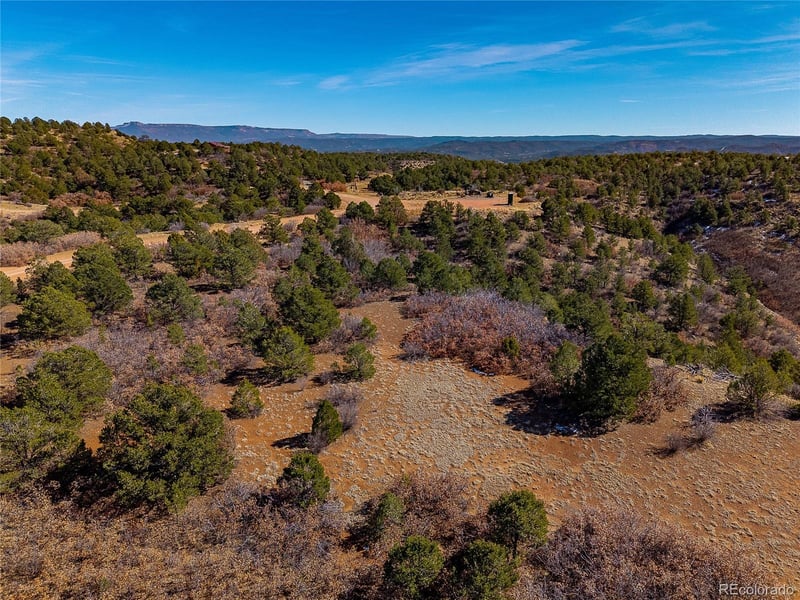 12222 Elk Run Rd, Trinidad, CO 81082