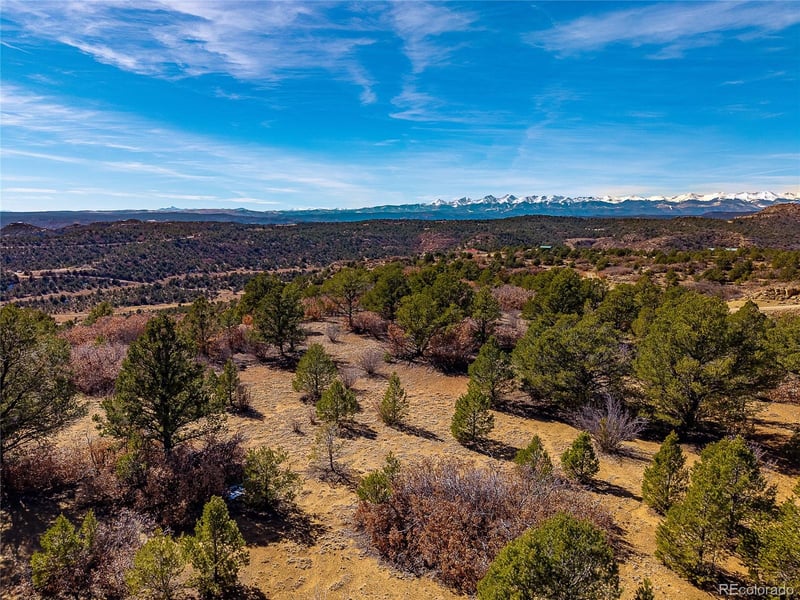 12222 Elk Run Rd, Trinidad, CO 81082