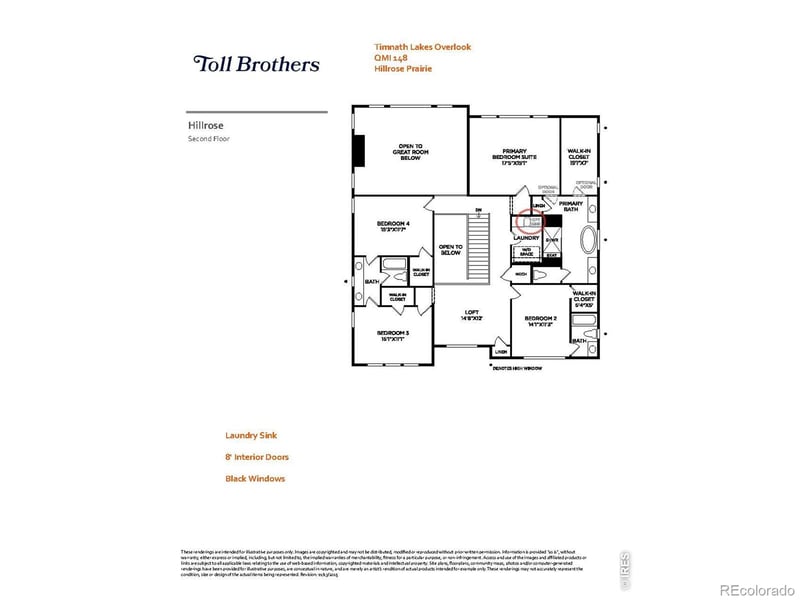 5580 Blacksmith Ave, Timnath, CO 80547