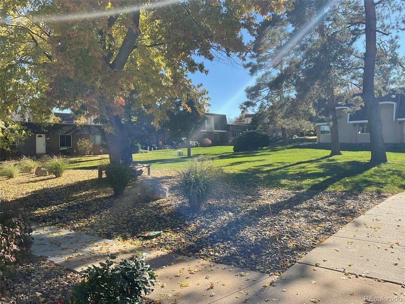 775 Youngfield Ct, Lakewood, CO 80228