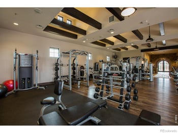6820 Morning Song Ct, Timnath, CO 80547