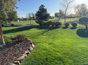 930 Reed Ct, Lakewood, CO 80214