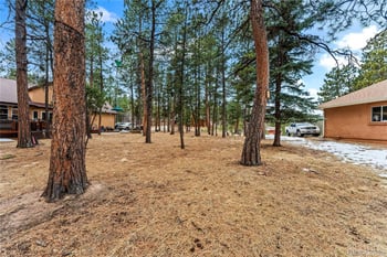 109 Flagstick Dr, Woodland Park, CO 80863