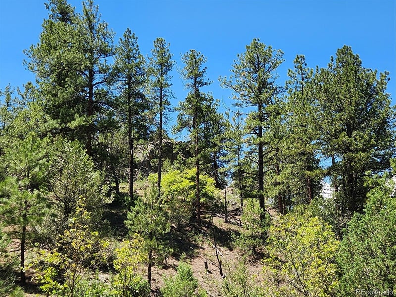102 Kevin Dr Lot 488, Cotopaxi, CO 81223