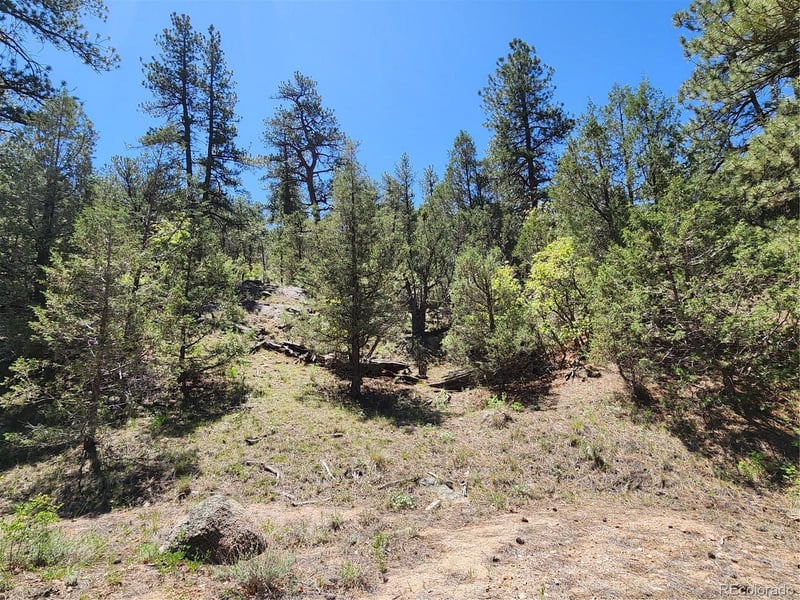 102 Kevin Dr Lot 488, Cotopaxi, CO 81223