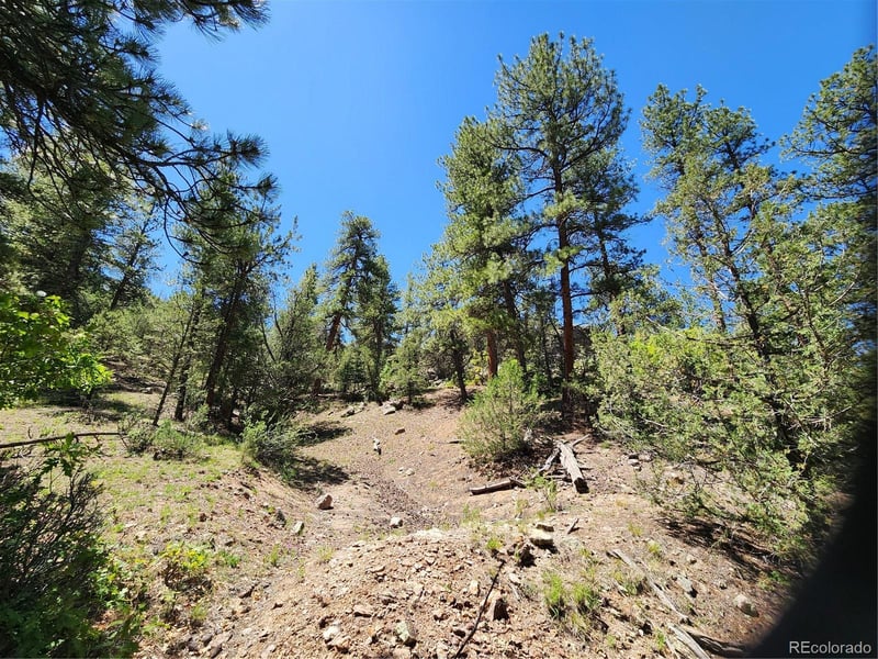 102 Kevin Dr Lot 488, Cotopaxi, CO 81223