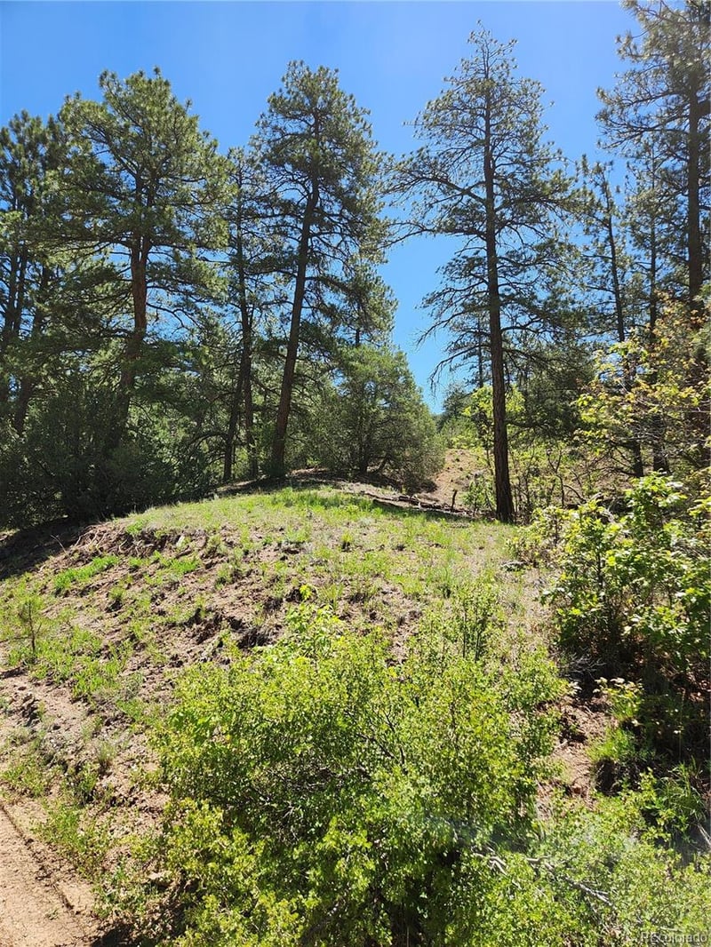 102 Kevin Dr Lot 488, Cotopaxi, CO 81223