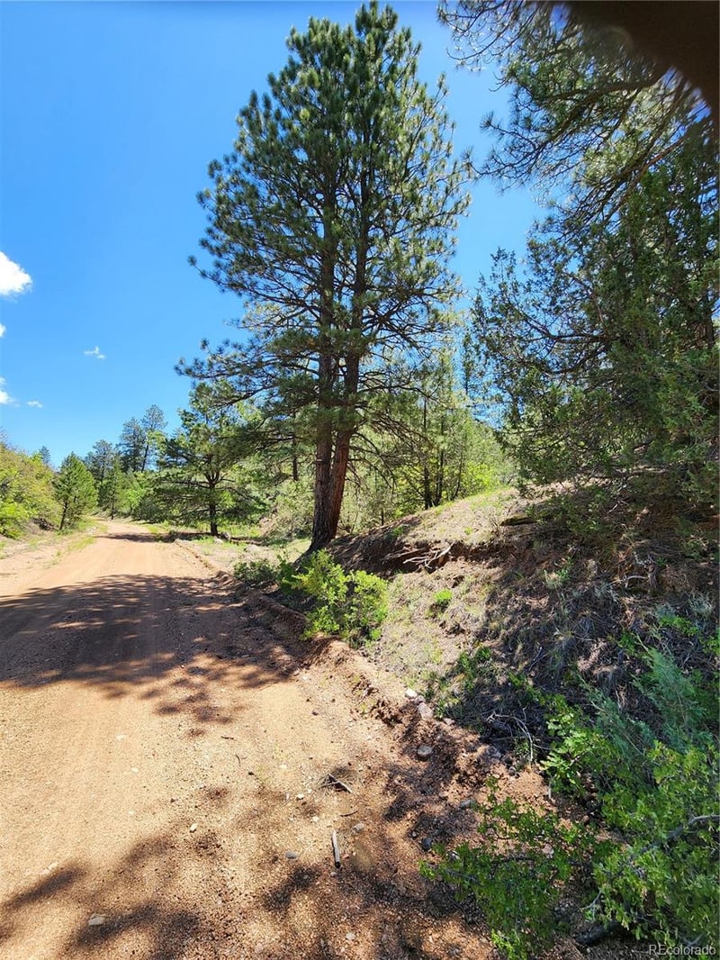 102 Kevin Dr Lot 488, Cotopaxi, CO 81223