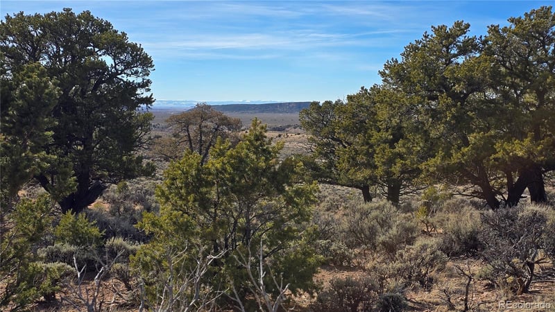Lot 7293 Barker Rd, Fort Garland, CO 81133