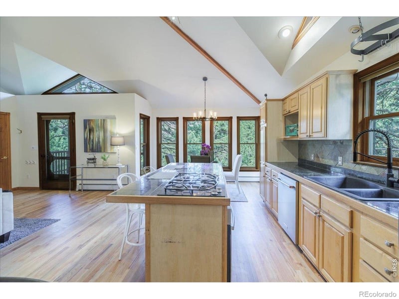 101 Spruce St, Jamestown, CO 80455